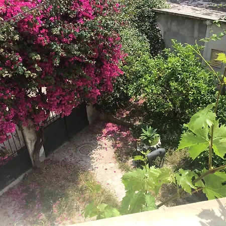 アパート Confort Avec Terrasse *