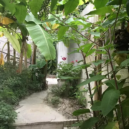 Confort Avec Terrasse アパート ニース