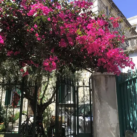 Confort Avec Terrasse Apartment Nice